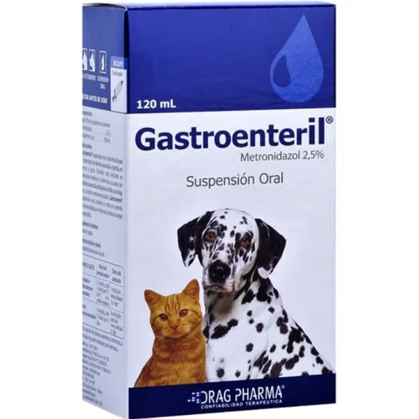 Gastroenteril