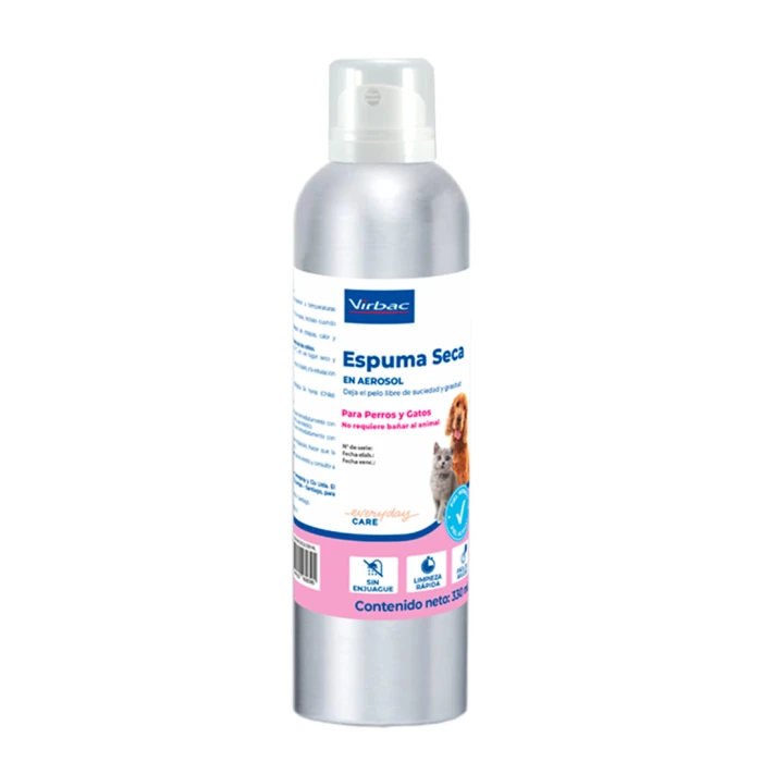 Shampoo es seco espuma
