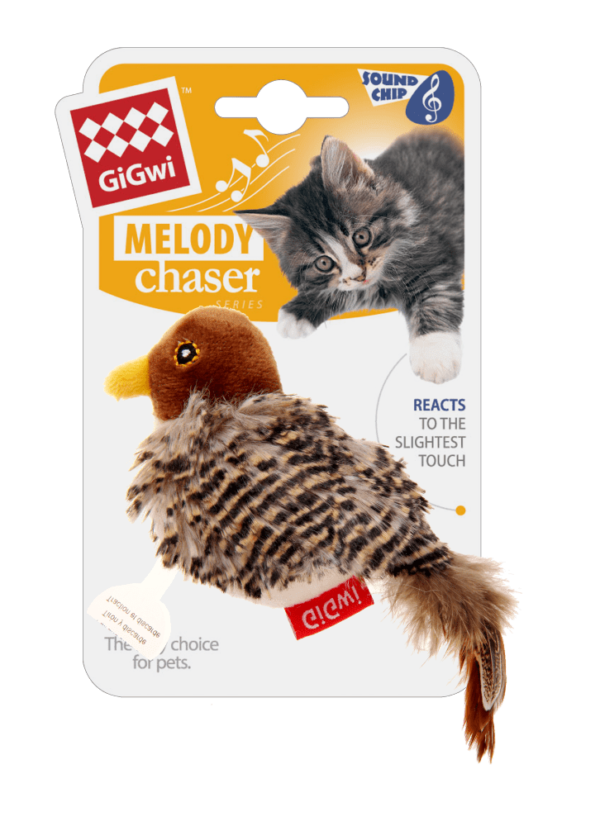 GIGWI MELODY CHASER PAJARO