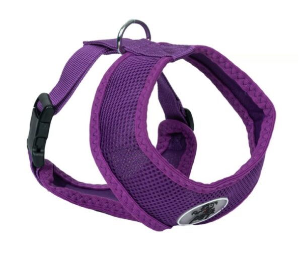 ARNES MORADO TALLA M FOR MY PET - Imagen 3