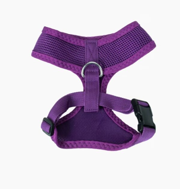 ARNES MORADO TALLA M FOR MY PET - Imagen 2