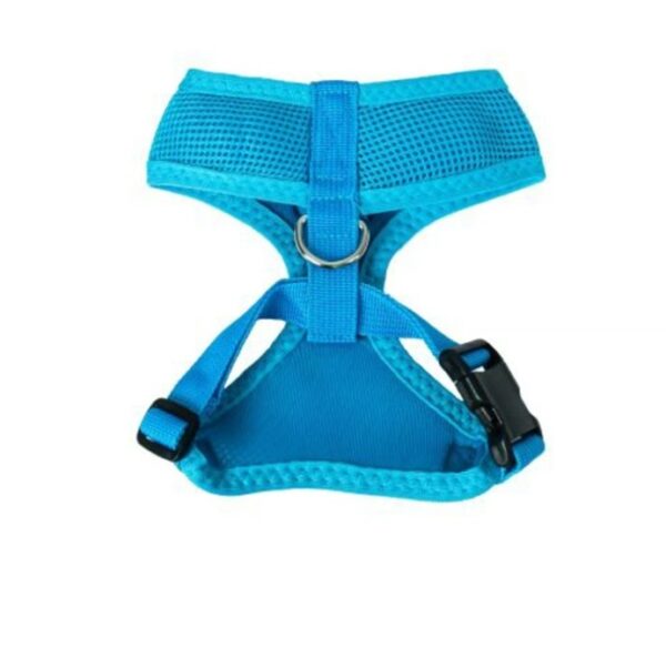 ARNES CELESTE TALLA S FOR MY PET - Imagen 2