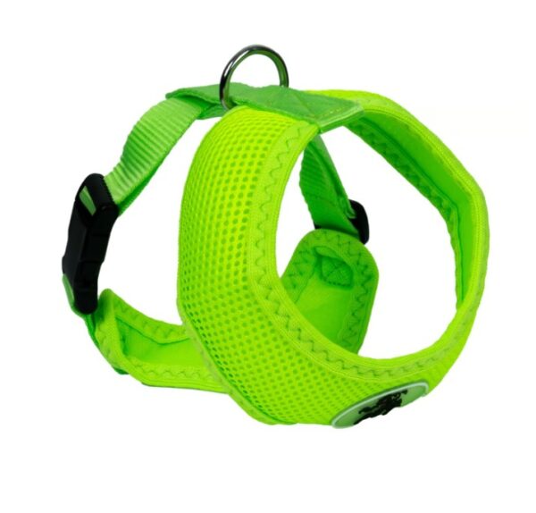 ARNES VERDE LIMON TALLA L FOR MY PET - Imagen 3