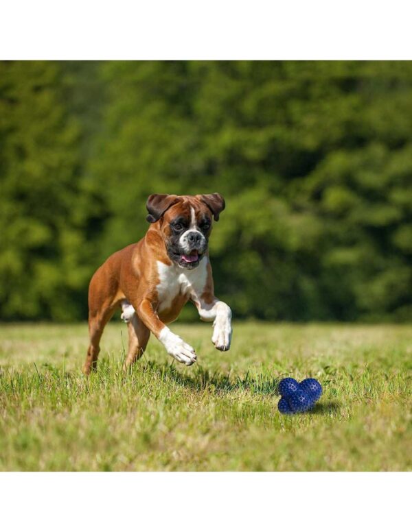 NYLABONE POWER PLAY LANZADOR DE GOMA CRAZY BALL - Imagen 3