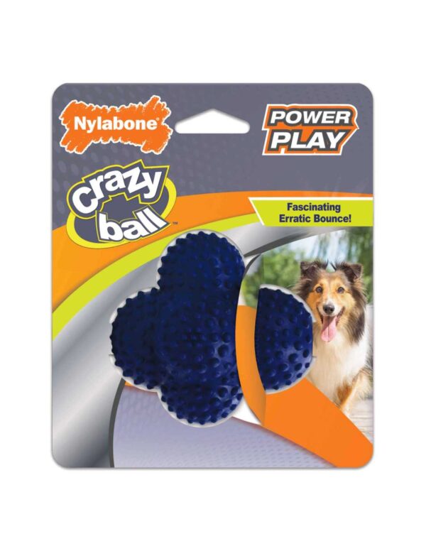 NYLABONE POWER PLAY LANZADOR DE GOMA CRAZY BALL