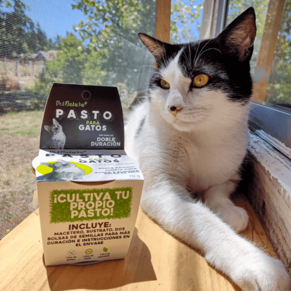 PET NATURA KIT PASTO PARA GATOS - Imagen 4