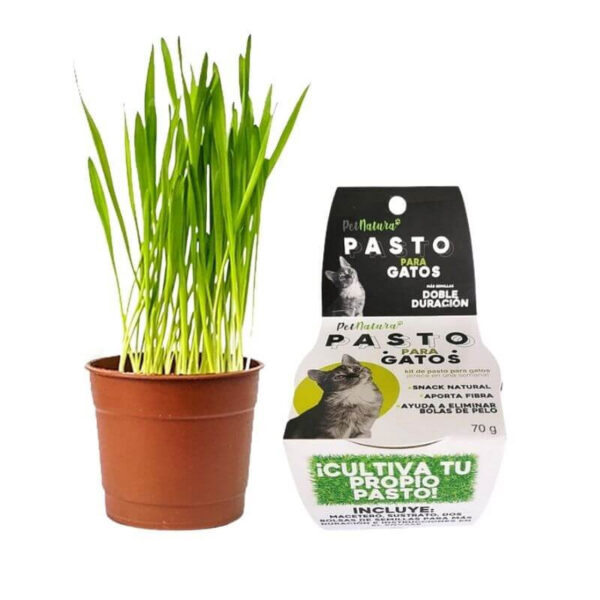 PET NATURA KIT PASTO PARA GATOS