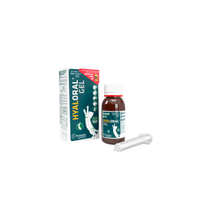 Hyaloral gel